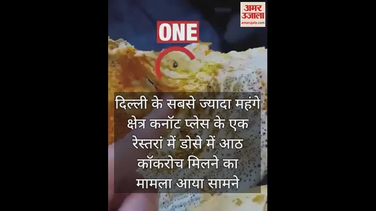 VIDEO : Eight cockroaches found in dosa in Connaught Place restaurant