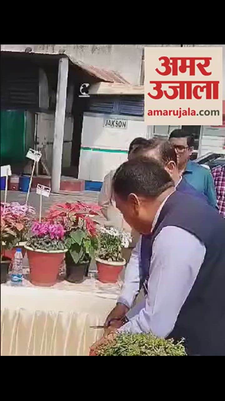VIDEO : अमर उजाला पुष्प प्रदर्शनी में पहुंचे डीएम और आईजी, रंग-बिरंगे फूलों को निहारा