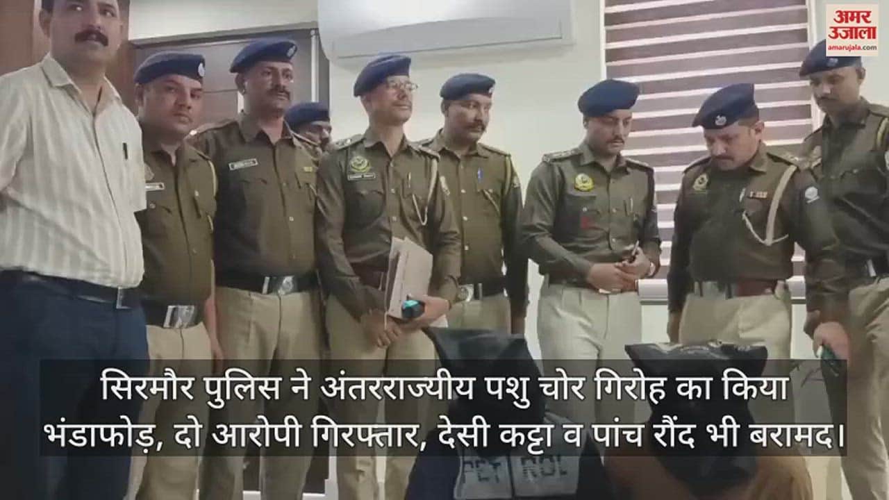 VIDEO : Sirmaur police busted interstate cattle theft gang, two accused arrested