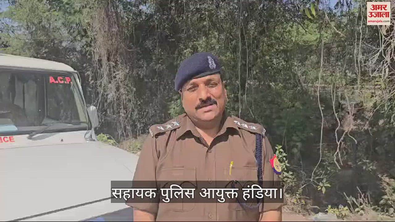 VIDEO : उतरांव में अफीम की अवैध खेती का भंडाफोड़