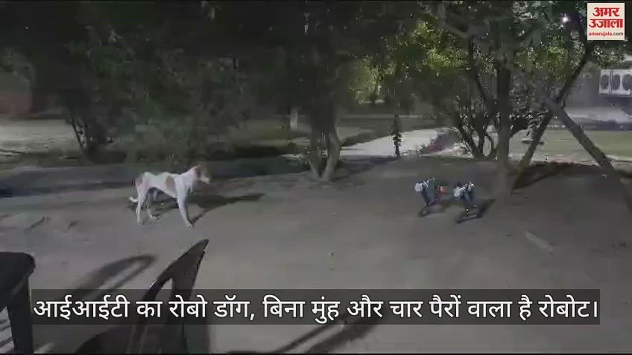 VIDEO : एक्स्टेरा रोबोटिक्स ने तैयार किया है रोबो डॉग, घटना का खुलासा करने में करेगा मदद, खतरे को भी भांप सकेगा