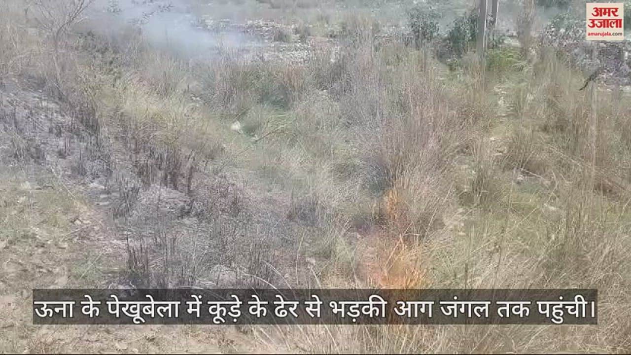 VIDEO : The fire that broke out from the garbage heap in Pekhubela of Una reached the forest.