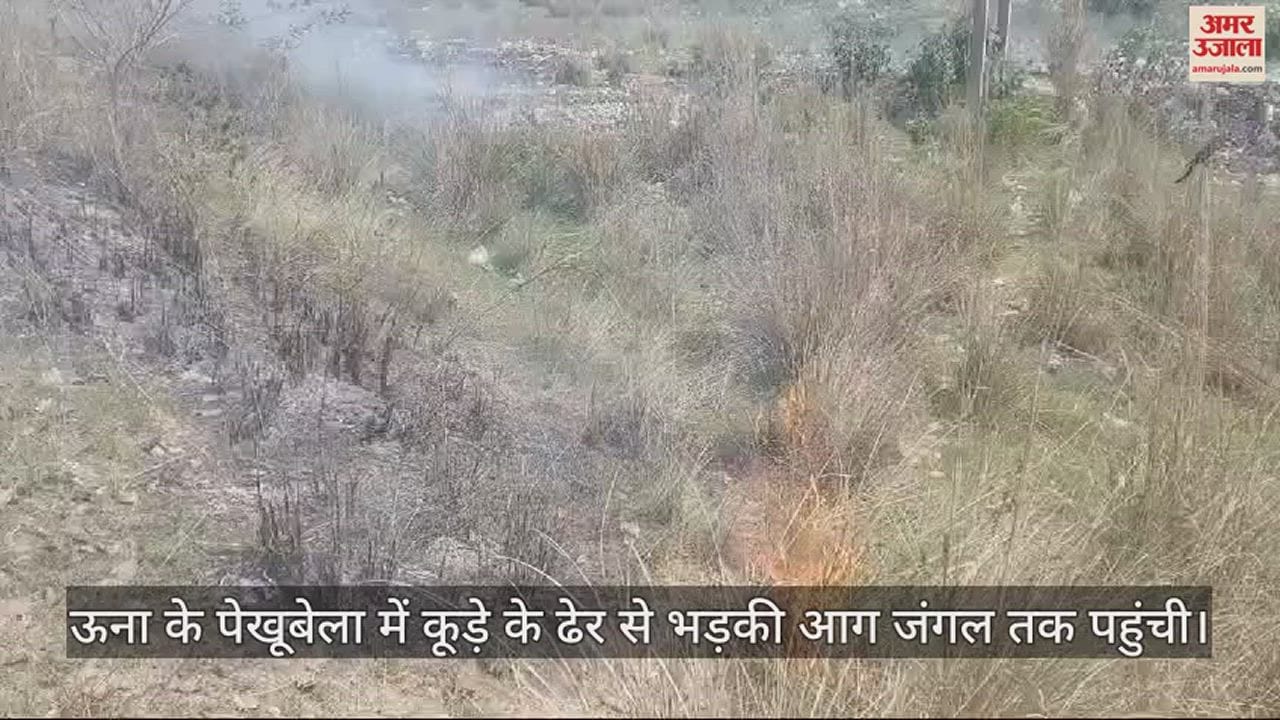 VIDEO : The fire that broke out from the garbage heap in Pekhubela of Una reached the forest.