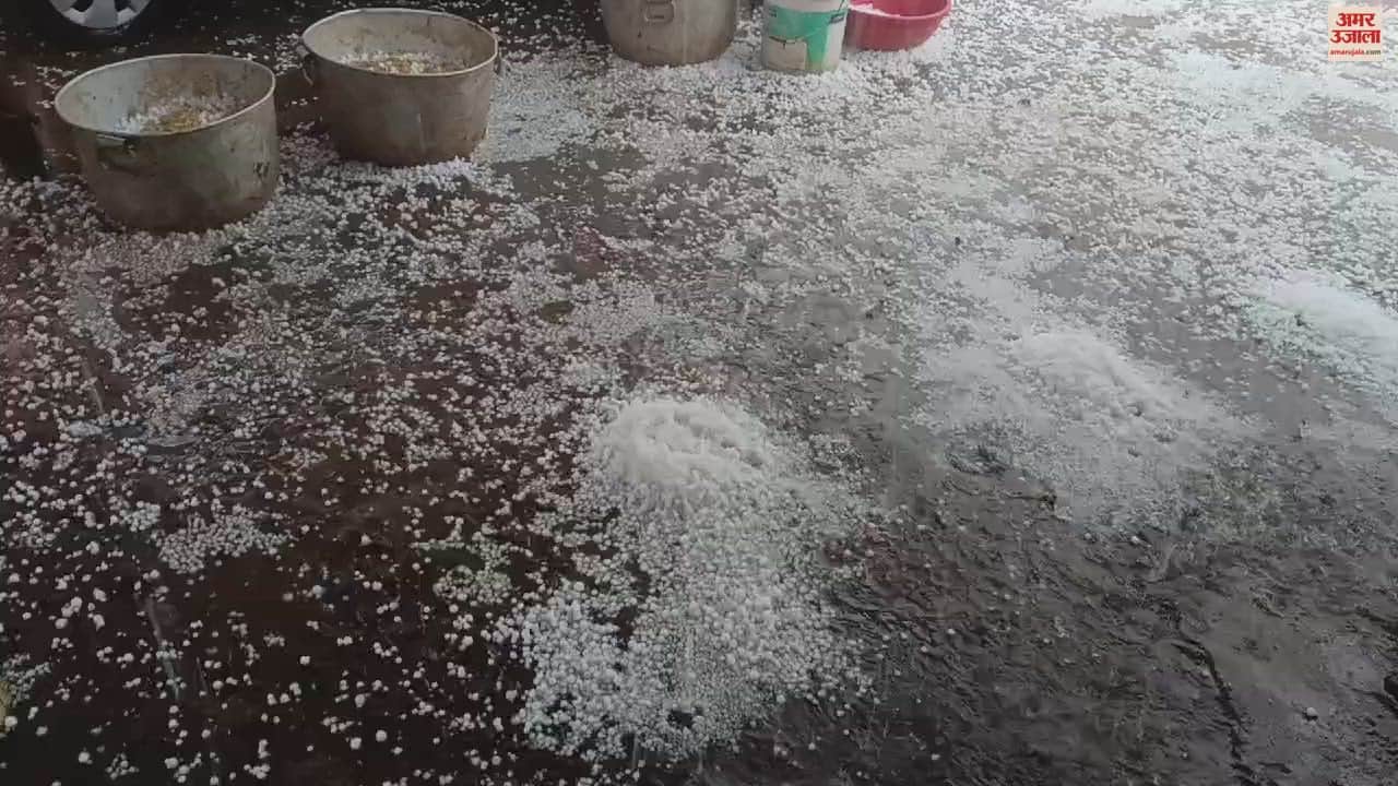 VIDEO : छत्तीसगढ़ में बारिश-ओलावृष्टि ने ढाया कहर, फसलों को भारी नुकसान