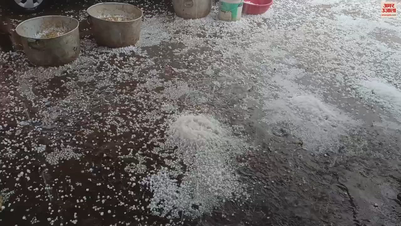 VIDEO : छत्तीसगढ़ में बारिश-ओलावृष्टि ने ढाया कहर, फसलों को भारी नुकसान