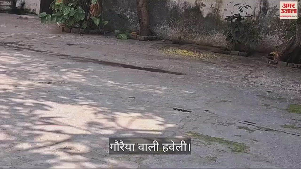 VIDEO : Sparrow Day is celebrated in Haveli in Bijnor