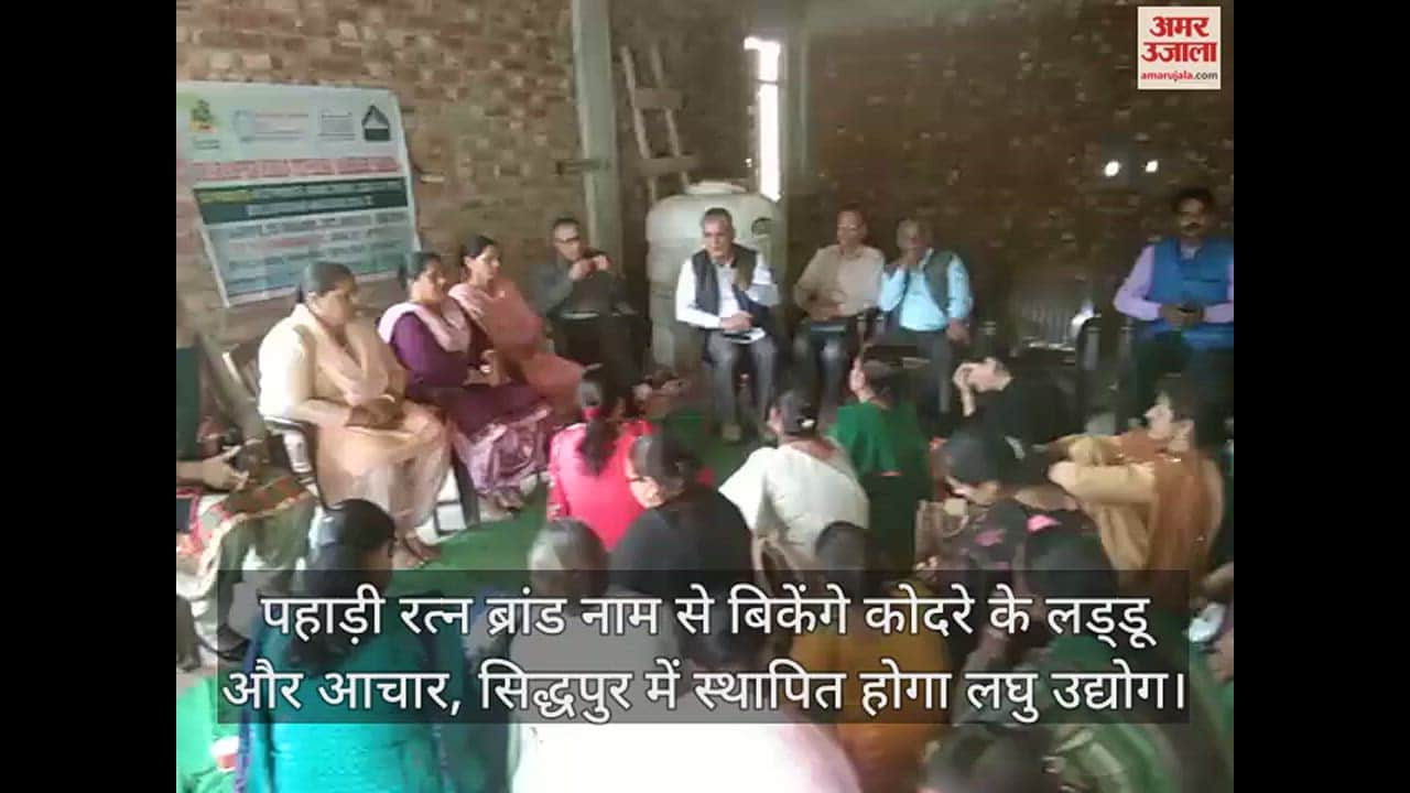 VIDEO : Kodra laddus and pickles will be sold under the brand name Pahari Ratna, small scale industry will be established in Sidhpur.