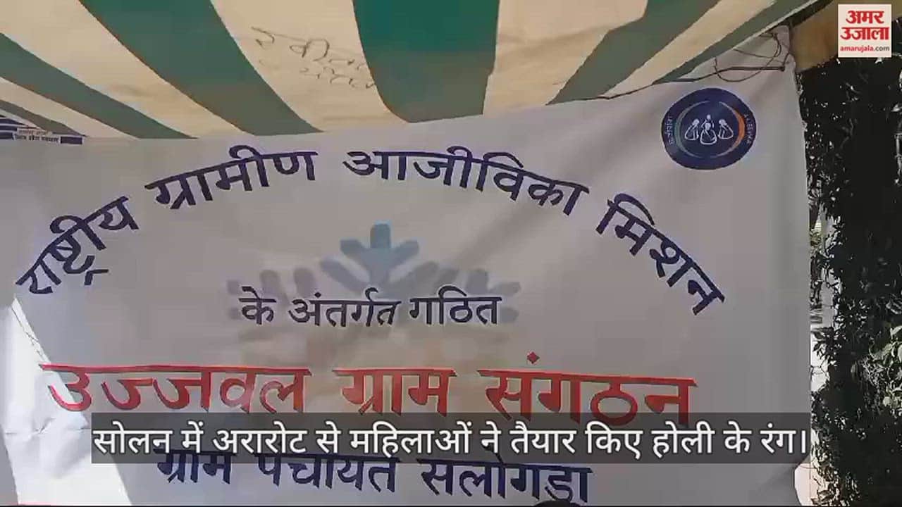 VIDEO : Women prepared Holi colors from arrowroot in Solan