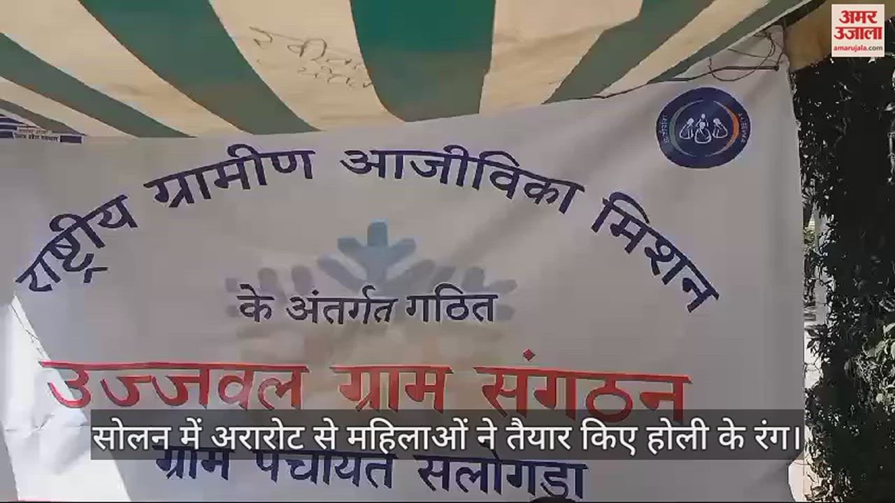 VIDEO : Women prepared Holi colors from arrowroot in Solan