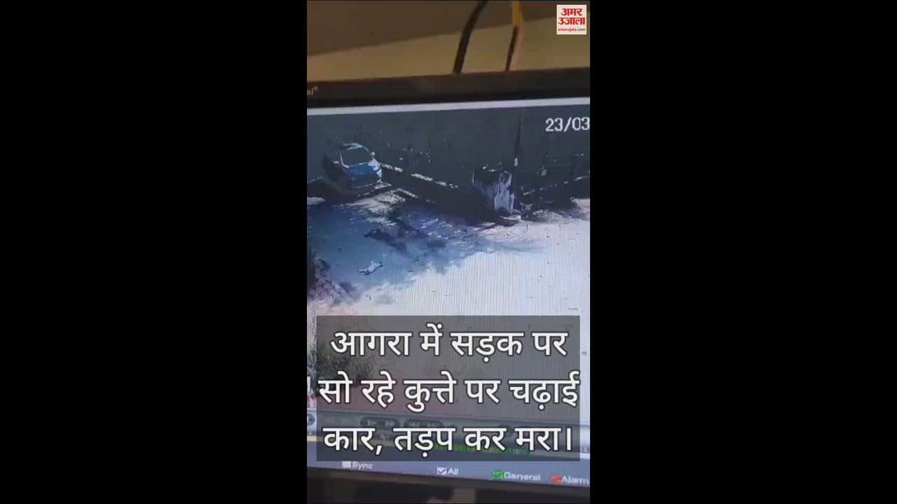VIDEO : आगरा में सड़क पर सो रहे कुत्ते पर चढ़ाई कार, तड़प कर मरा