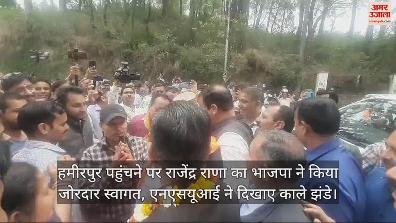 VIDEO : Rajendra Rana got a warm welcome on reaching Hamirpur, said - Congress government is on ventilator.