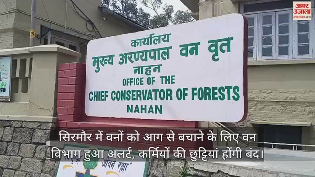 VIDEO : Forest department alerted to save forests from fire in Sirmaur, leave of employees will be cancelled.