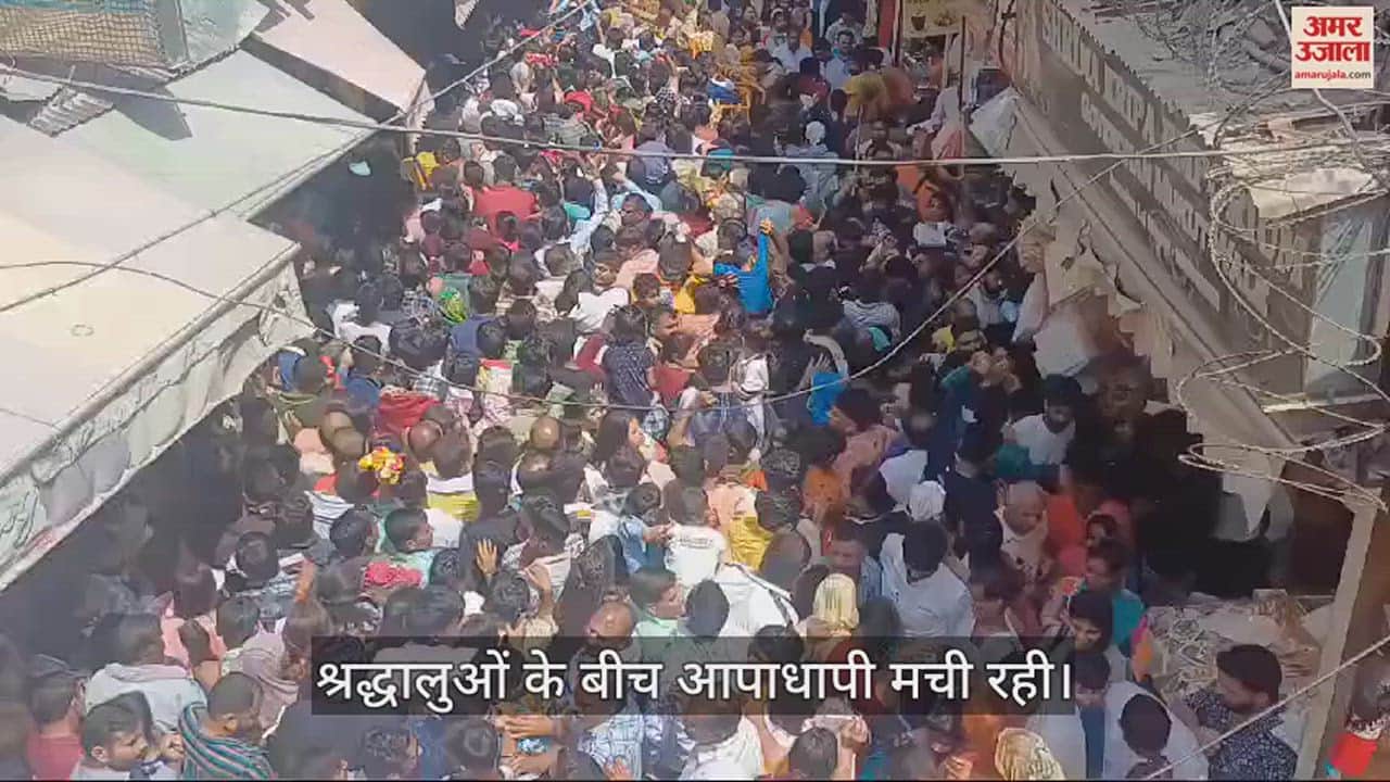 VIDEO : बांके बिहारी दर्शन के लिए उमड़ी भीड़, वृंदावन हुआ जाम; दर्शन के लिए लगी लंबी कतार