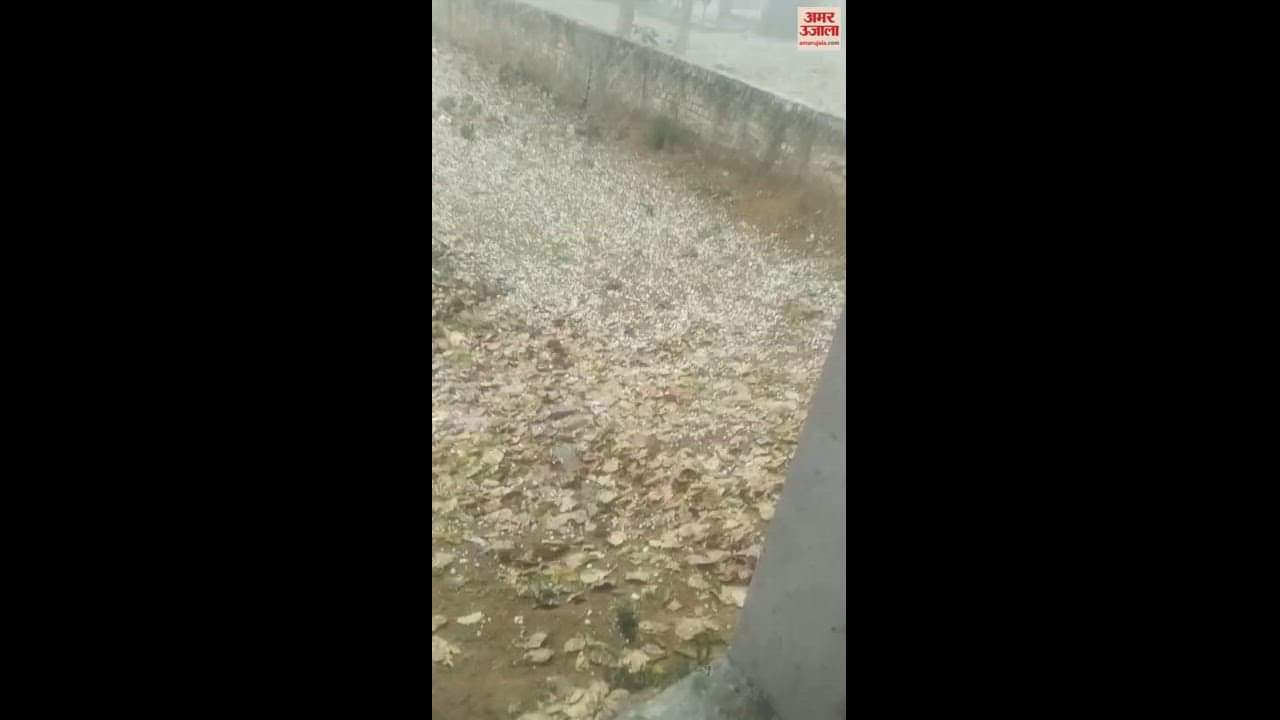 VIDEO : रेवाड़ी में तेज आंधी व बारिश के साथ गिरे ओले