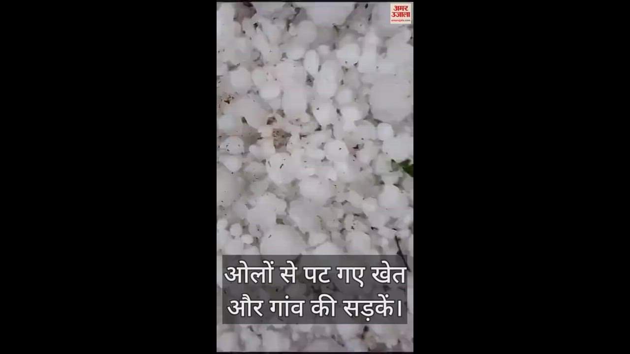 VIDEO : आगरा में ओलावृष्टि ने किसानों को मुश्किल में डाला, ओलों से पट गए खेत और गांव की सड़कें; चटक गए गाड़ियों के शीशे
