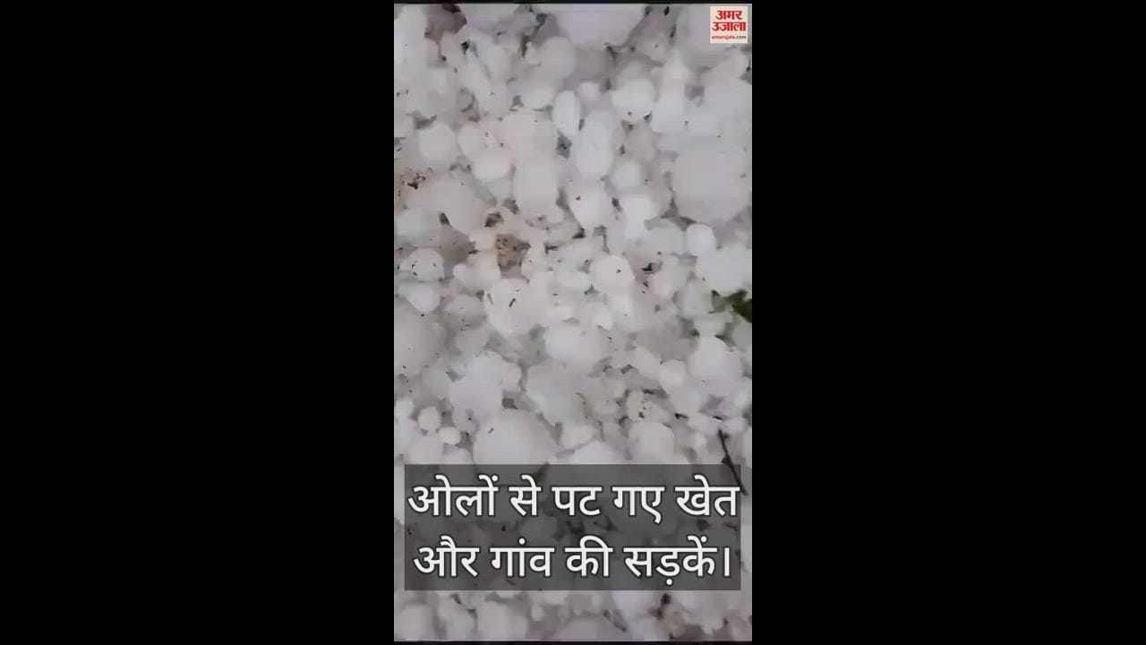 VIDEO : आगरा में ओलावृष्टि ने किसानों को मुश्किल में डाला, ओलों से पट गए खेत और गांव की सड़कें; चटक गए गाड़ियों के शीशे
