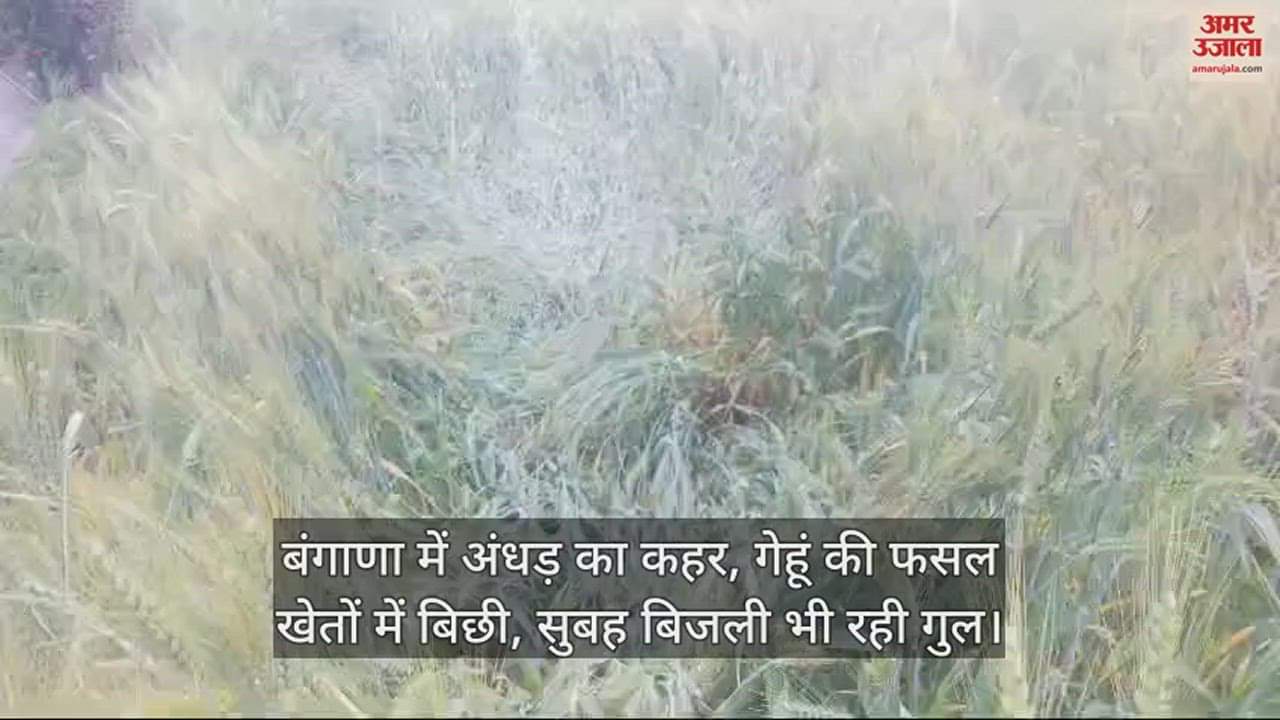 VIDEO : Storm wreaks havoc in Bangana, wheat crop scattered in fields