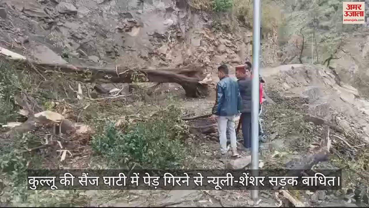 VIDEO : Newly-Shanshar road disrupted due to falling of trees in Sainj valley of Kullu