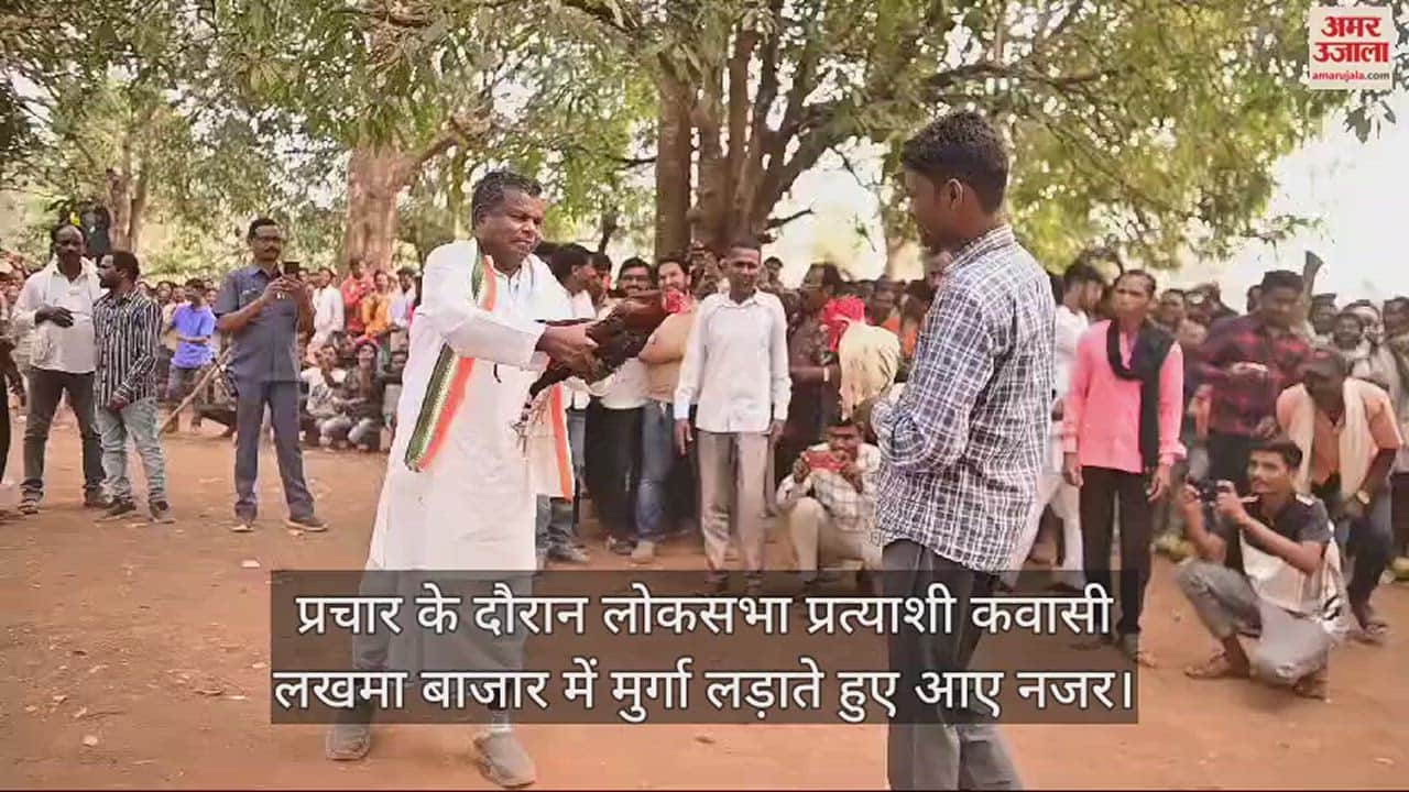 VIDEO : छत्तीसगढ़ में कांग्रेस प्रत्याशी कवसी लखमा बाजार में मुर्गा लड़ाते आए नजर, देखें वायरल वीडियो