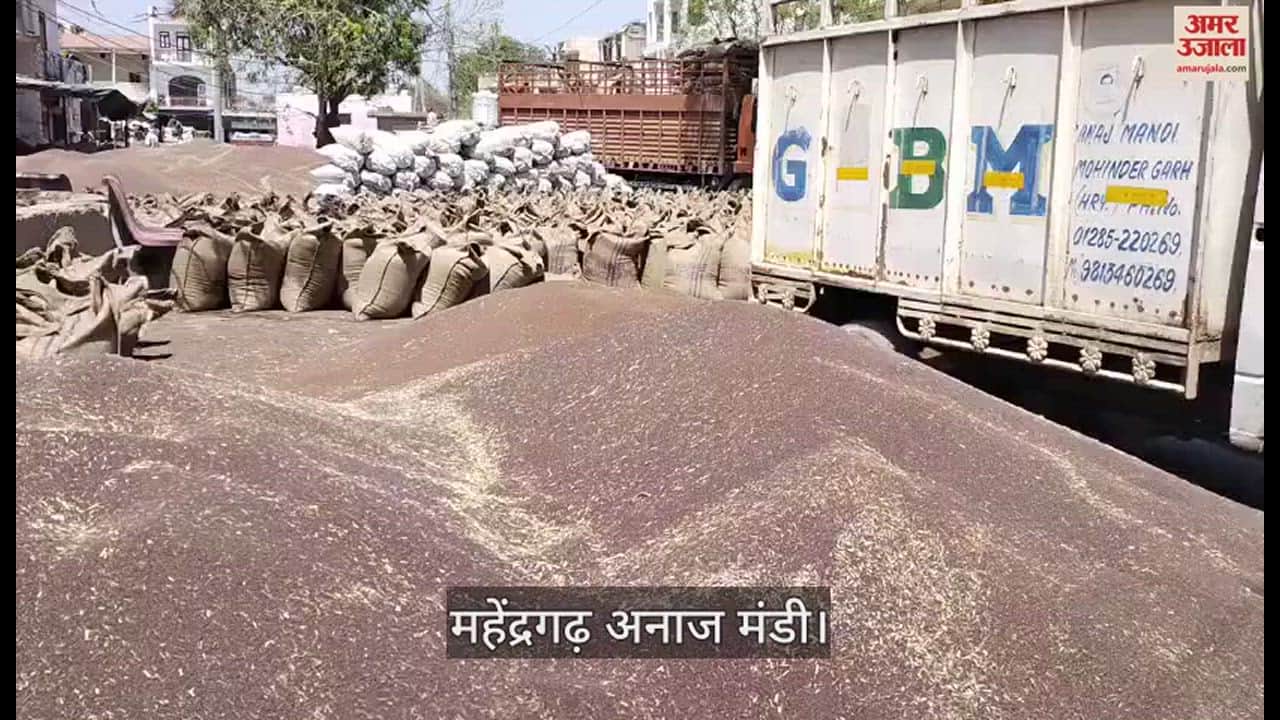 VIDEO : महेंद्रगढ़ की अनाज मंडी में अब जगह का बना है अभाव