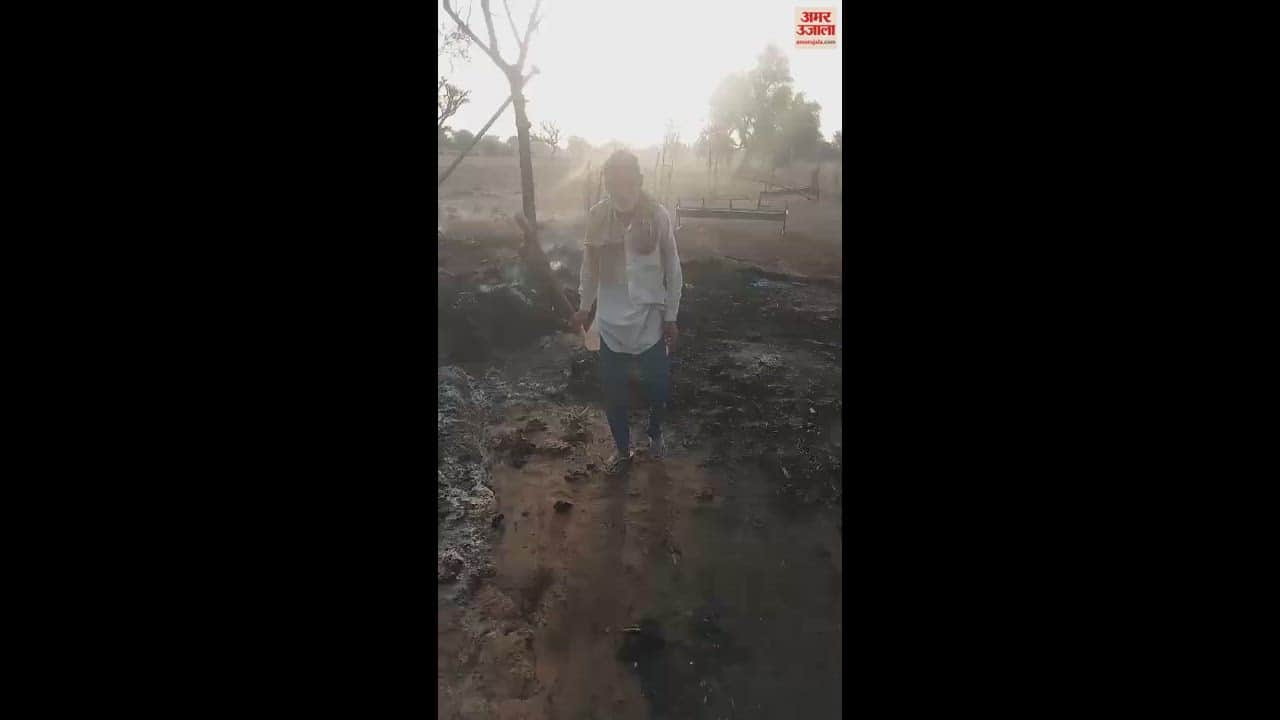 VIDEO : महेंद्रगढ़ में गांव ढाढ़ोत में बाड़े में लगी आग, चार बकरियां व आठ छोटे बच्चे जले