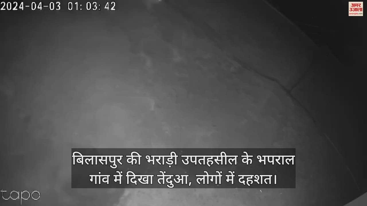 VIDEO : Leopard seen in Bhaparal village of Bharari sub-tehsil of Bilaspur, panic among people