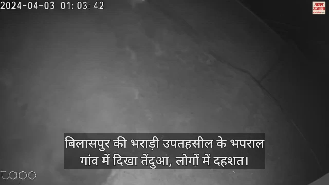 VIDEO : Leopard seen in Bhaparal village of Bharari sub-tehsil of Bilaspur, panic among people