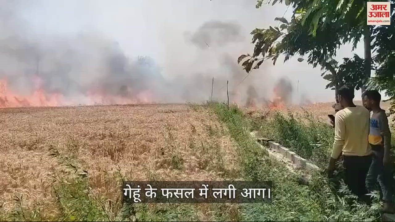VIDEO : Wheat Crop Burnt Due To Fire Caused By Spark From Transformer In Ballia