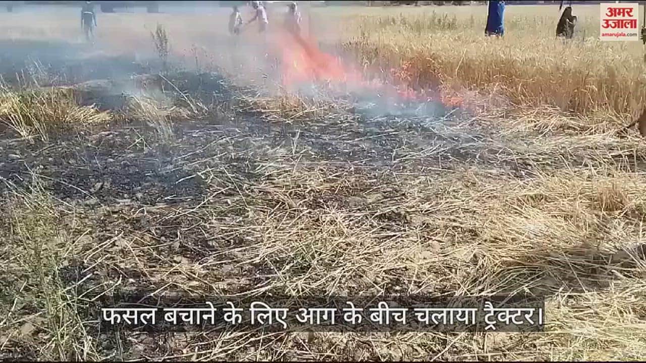 VIDEO : Major fire broke out in wheat field in Bhadohi
