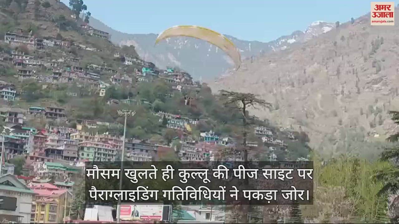 VIDEO : As soon as the weather opens, paragliding activities gain momentum at Kullu pez site.