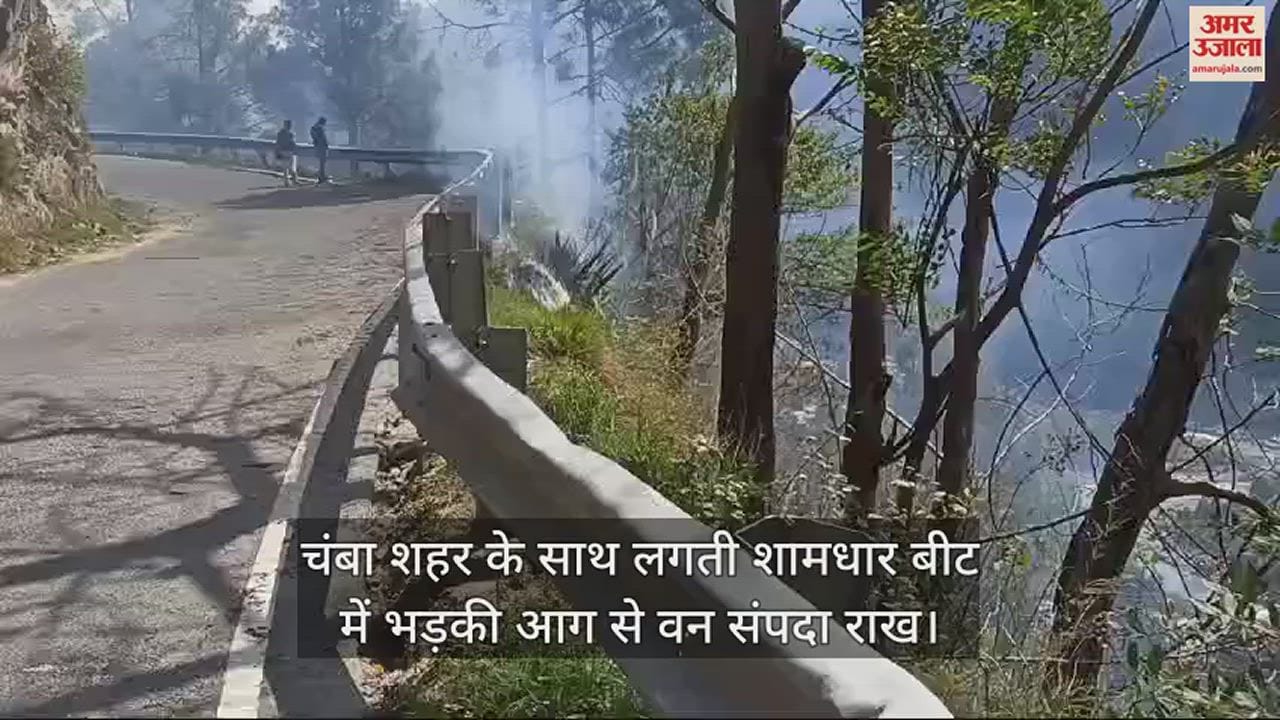 VIDEO : Fire breaks out in Shamdhar forest beat adjacent to Chamba city
