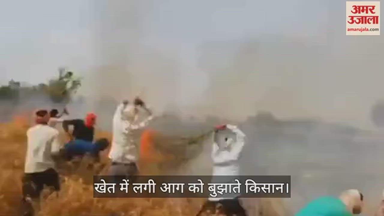 VIDEO : fifty bighas wheat crop turned into fire in ballia front of farmer