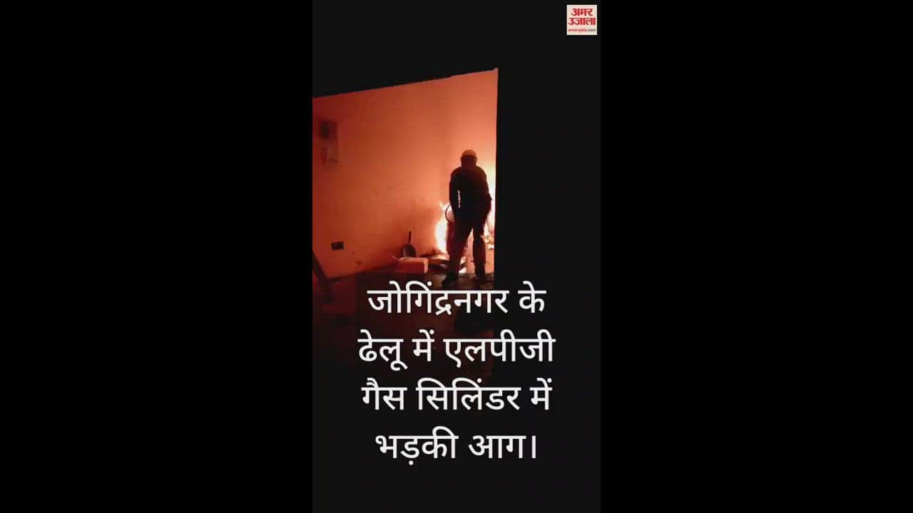 VIDEO : Fire broke out in LPG gas cylinder in Dhelu of Jogindernagar