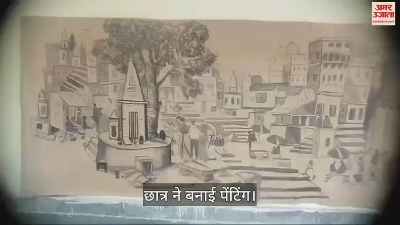 VIDEO : BHU student made the largest painting of 16.85 meters