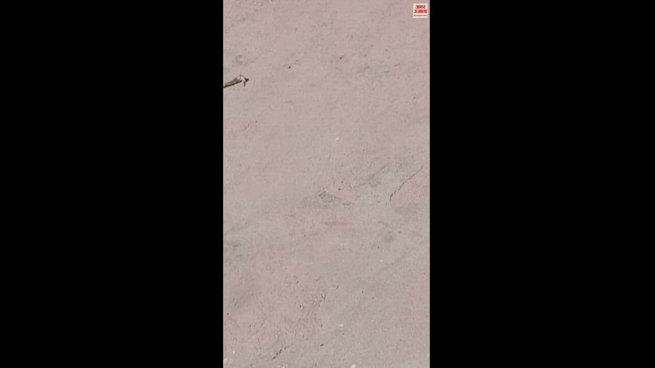 VIDEO : बरेली के इज्जतनगर थाने में रुपये लेते दरोगा का वीडियो वायरल