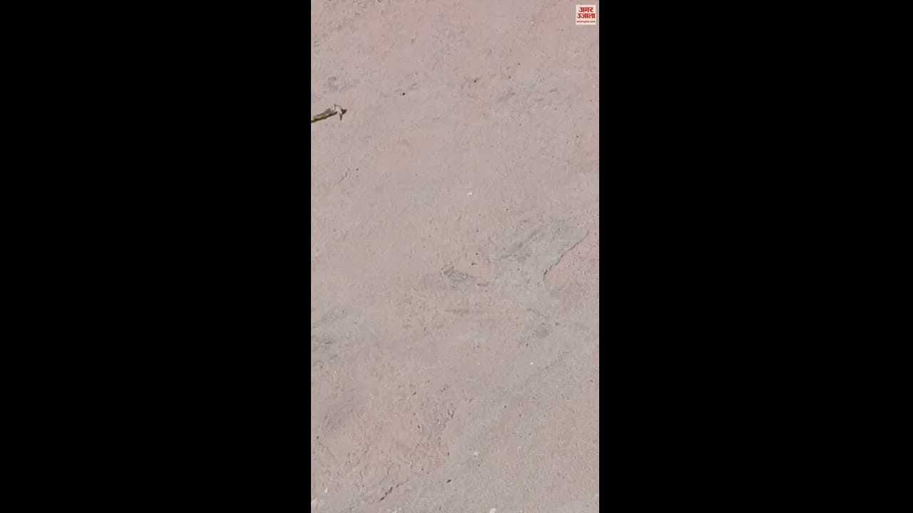 VIDEO : बरेली के इज्जतनगर थाने में रुपये लेते दरोगा का वीडियो वायरल