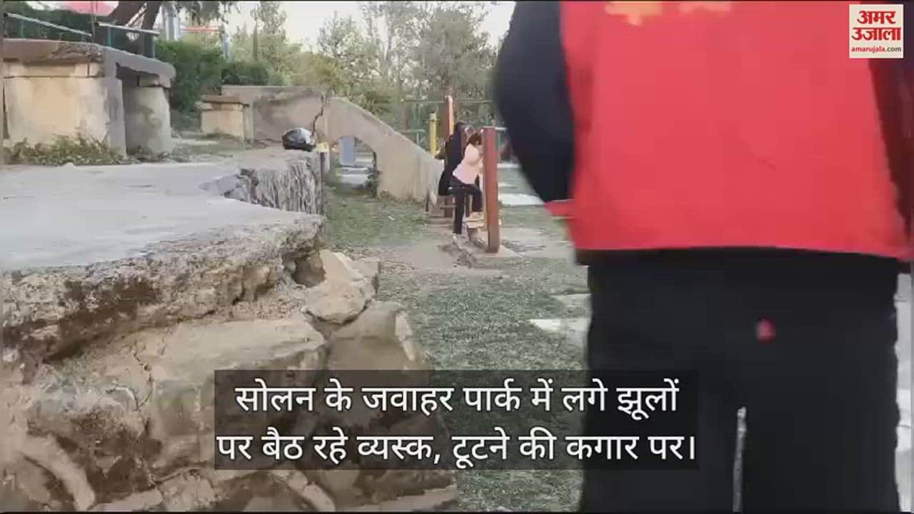 VIDEO : Adults sitting on swings in Jawahar Park, Solan, on the verge of breaking