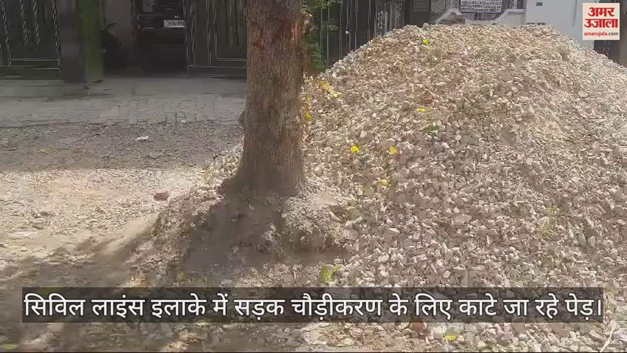 VIDEO : Nine hundred life giving trees will be sacrificed for the divinity of Maha Kumbh, more than 80 trees were upro