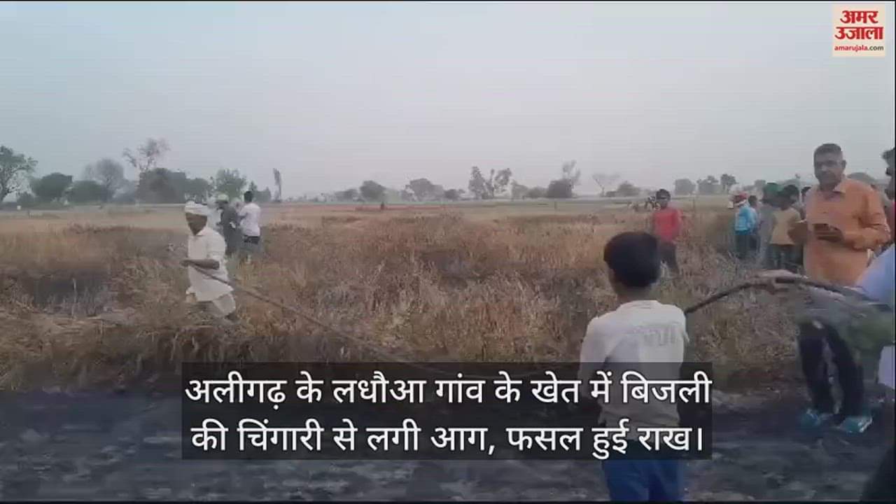 VIDEO : अलीगढ़ के लधौआ गांव के खेत में बिजली की चिंगारी से लगी आग, फसल हुई राख