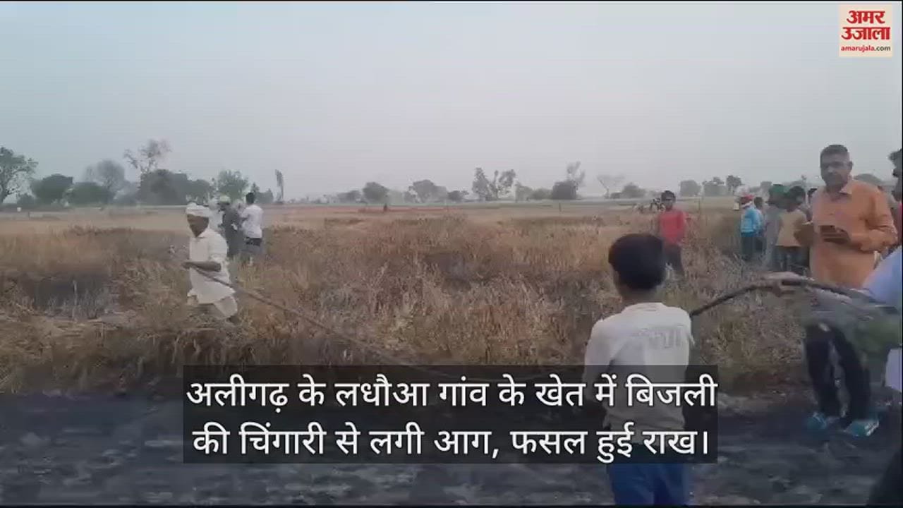 VIDEO : अलीगढ़ के लधौआ गांव के खेत में बिजली की चिंगारी से लगी आग, फसल हुई राख