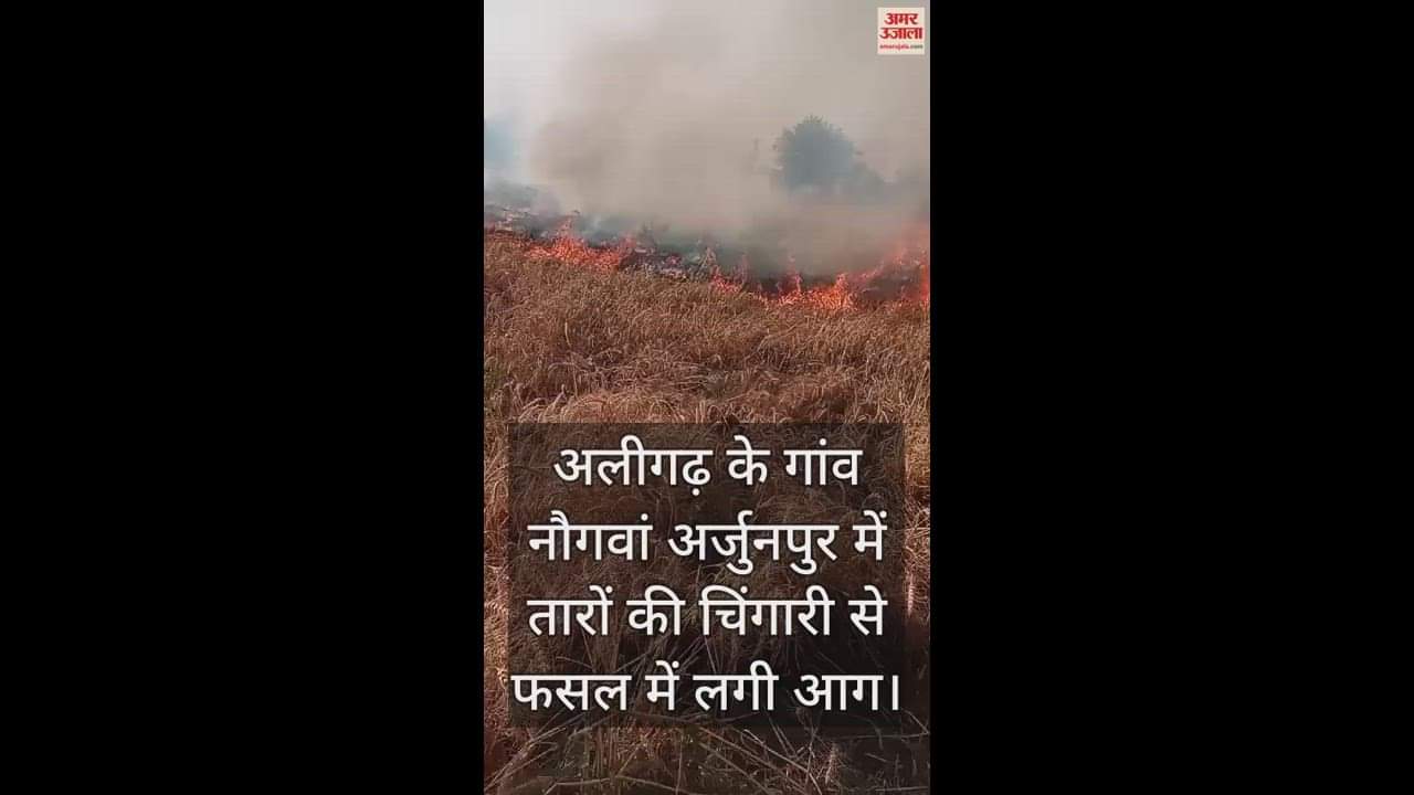 VIDEO : अलीगढ़ के गांव नौगवां अर्जुनपुर में तारों की चिंगारी से फसल में लगी आग