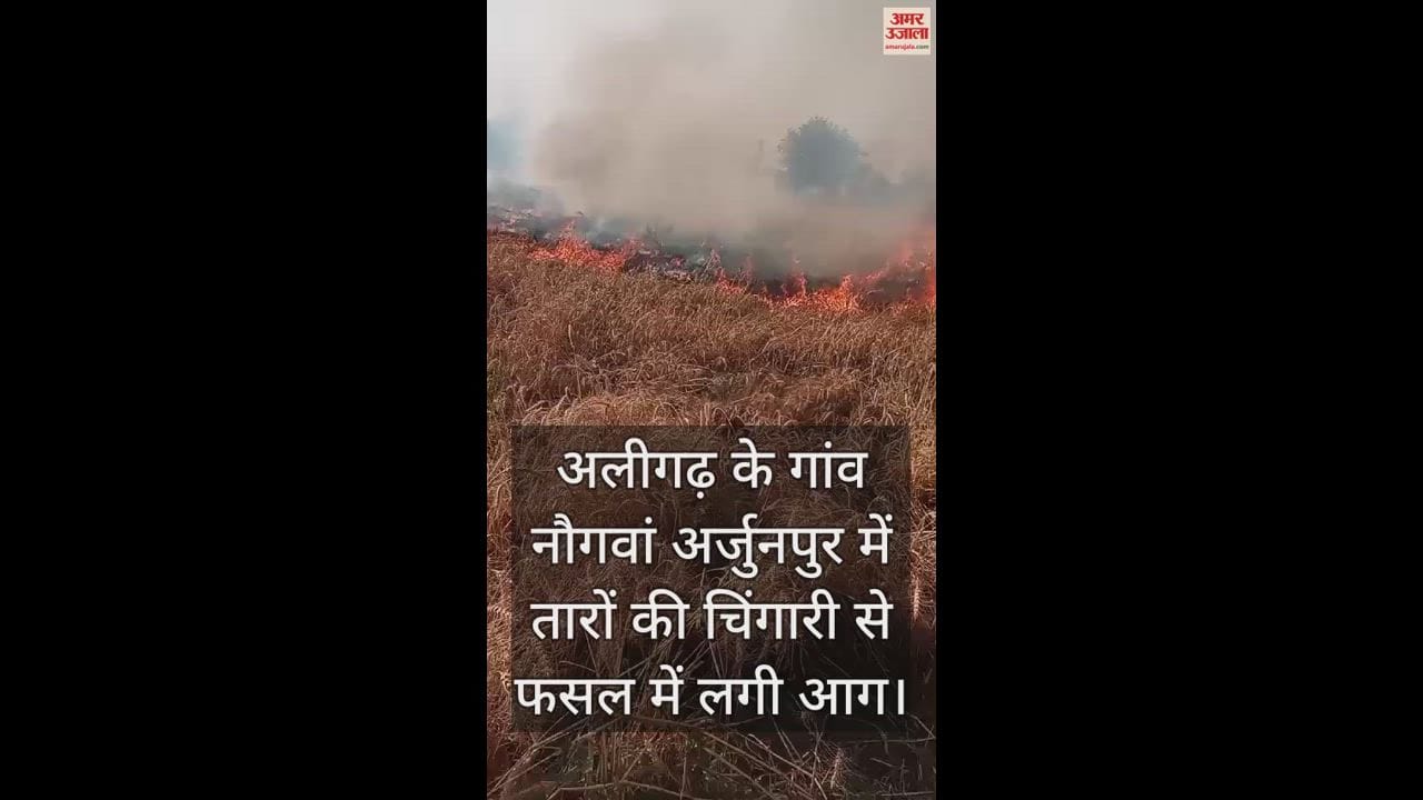 VIDEO : अलीगढ़ के गांव नौगवां अर्जुनपुर में तारों की चिंगारी से फसल में लगी आग