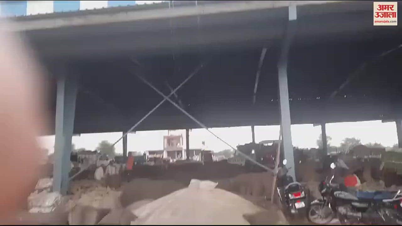 VIDEO : नारनौल में हुई बारिश, मंडियों में खुले में पड़ी सरसों भीगी