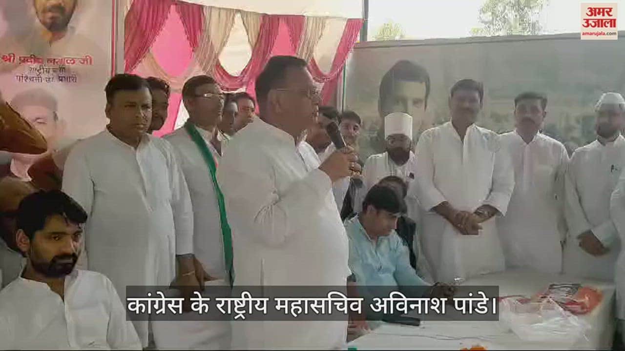 कांग्रेस के महासचिव और प्रदेश प्रभारी अविनाश पांडेय।