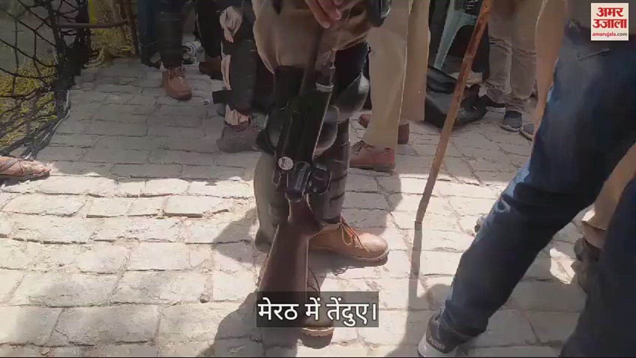 मेरठ में छत पर दिखा तेंदुआ।