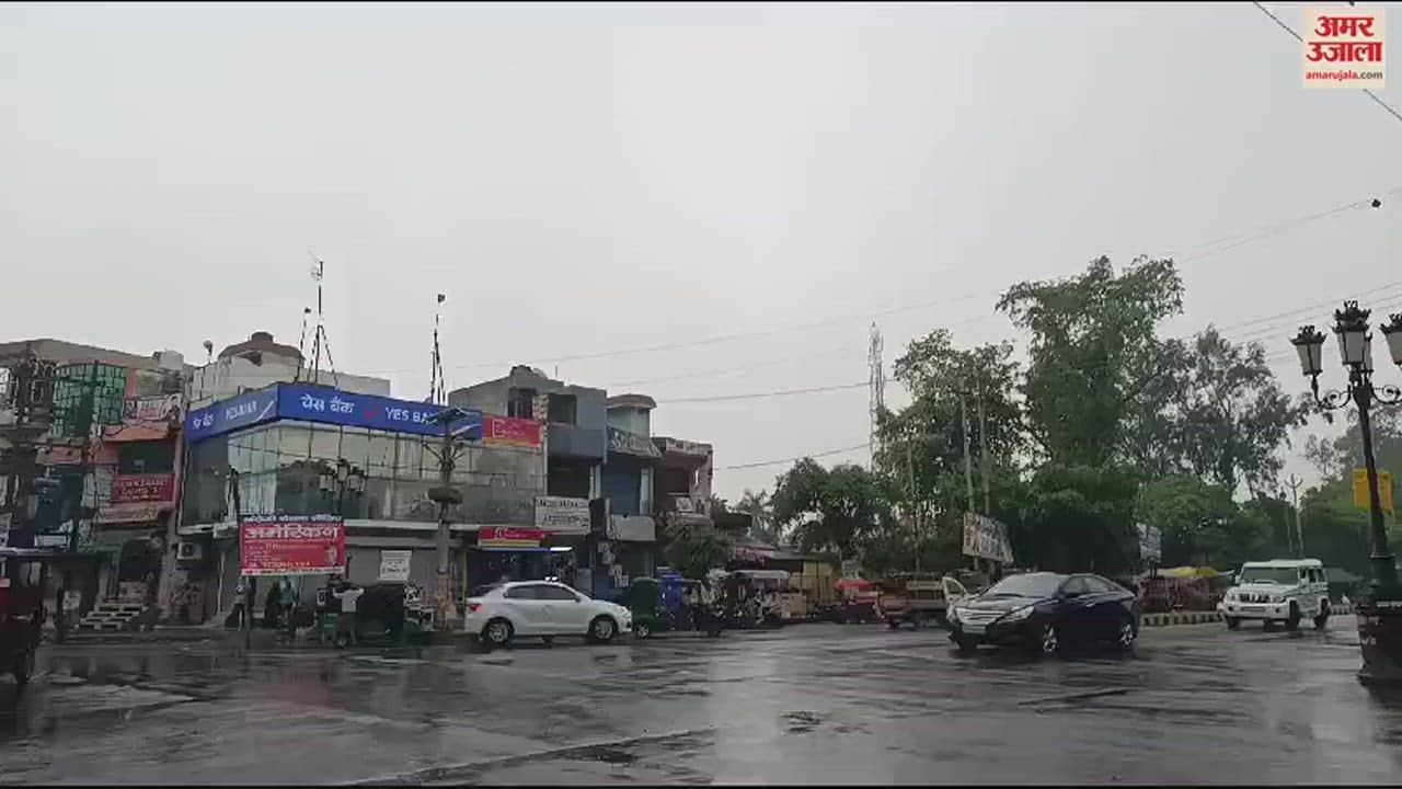 VIDEO : Weather patterns changed due to rain in Amroha district, farmers had to suffer losses
