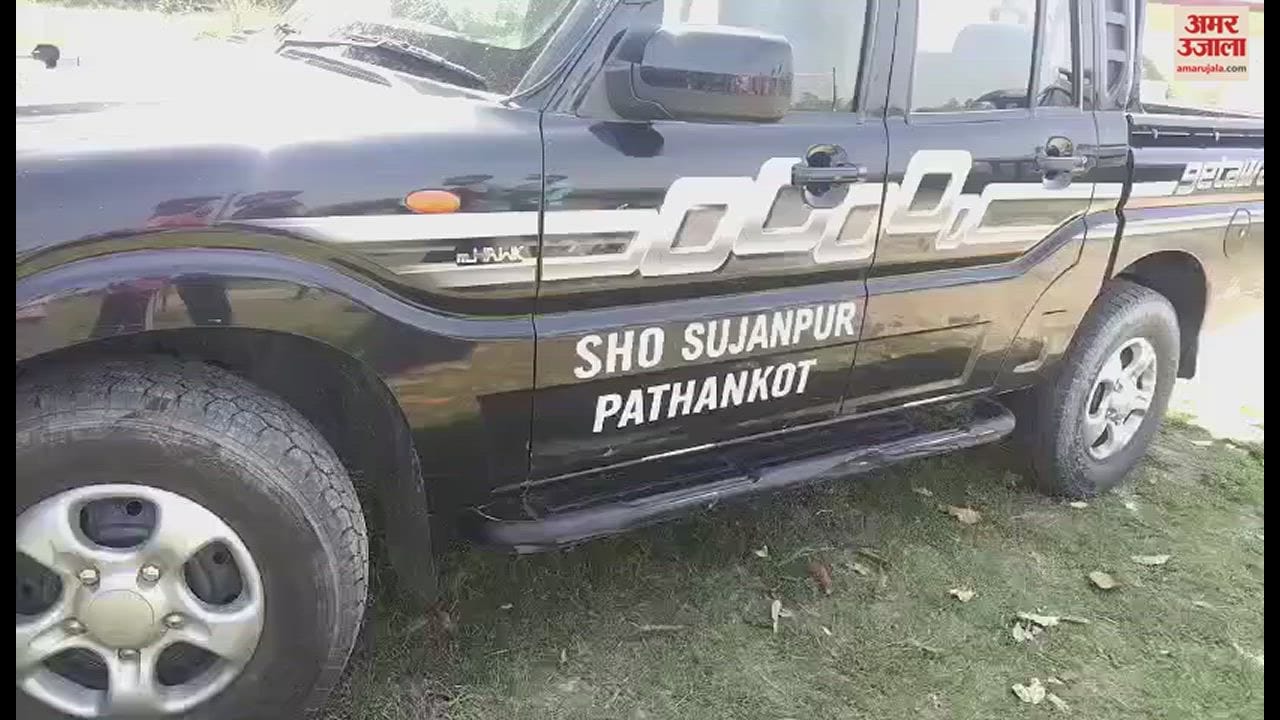 VIDEO : Half Buried Body Found In Grave In Cemetery Of Sujanpur