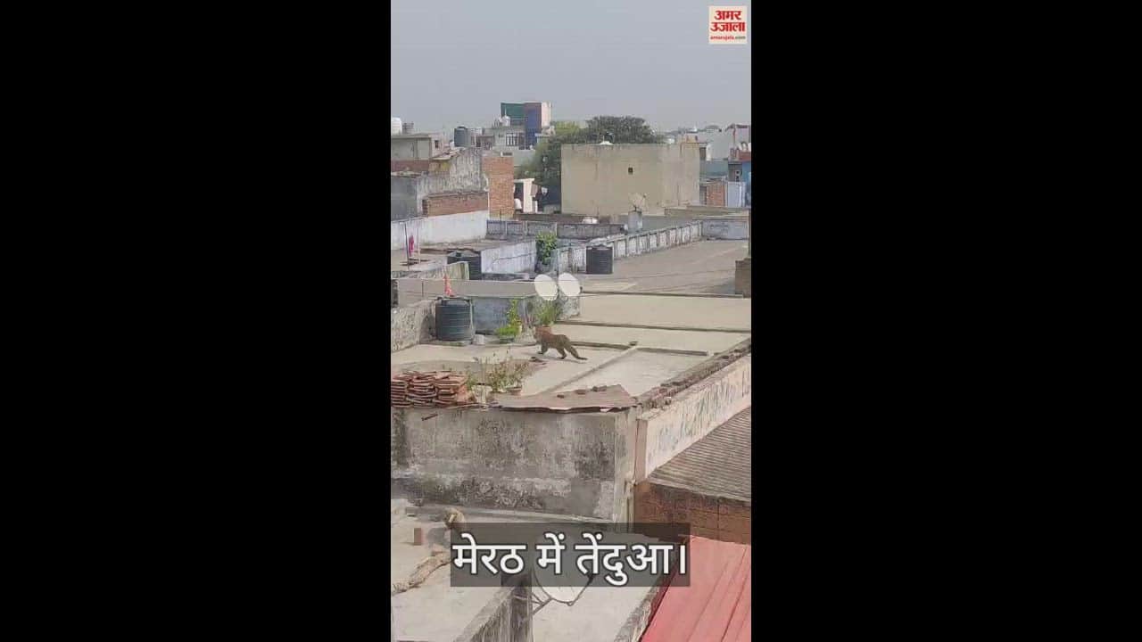 मेरठ के कसेरूखेड़ा में एक मकान की छत पर तेंदुआ देखा गया।