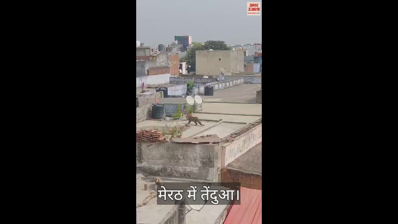 मेरठ के कसेरूखेड़ा में एक मकान की छत पर तेंदुआ देखा गया।