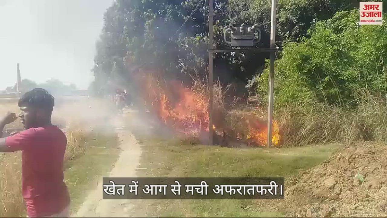 VIDEO : Seven Bigha crop burnt ashes due to bush fire in mau